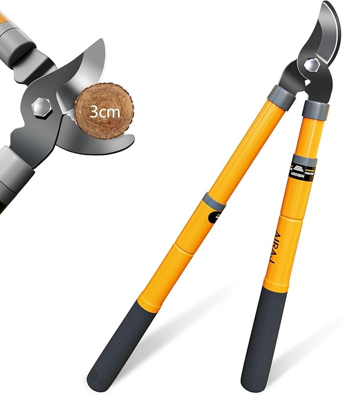 AIRAJ Coupe-Branche Téloscopiques 42-61cm